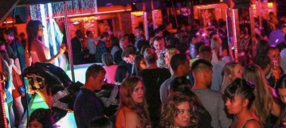 PCD Dollhouse San Diego Review