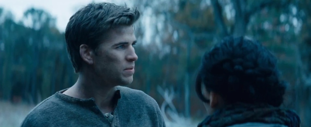 The Hunger Games Catching Fire Teaser Trailer Liam Hemsworth