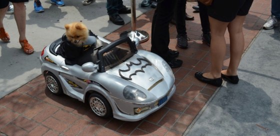 San Diego Comic-Con 2013 Saturday Photo Gallery Recap