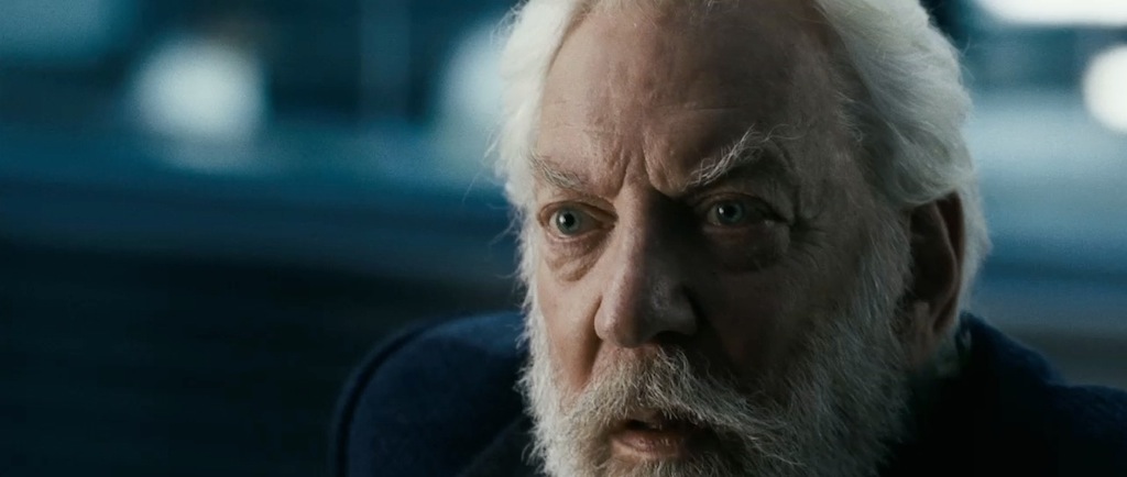 The Hunger Games Catching Fire Trailer Screenshot 12