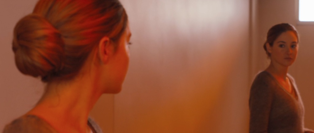 Divergent Movie Teaser Reflection