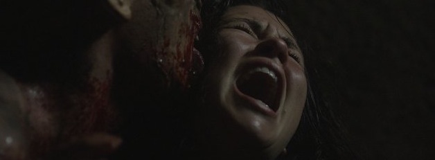 Sleepwalkers Horror Movies 2014