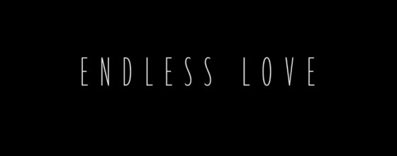 Endless Love 2014 Title Movie Logo