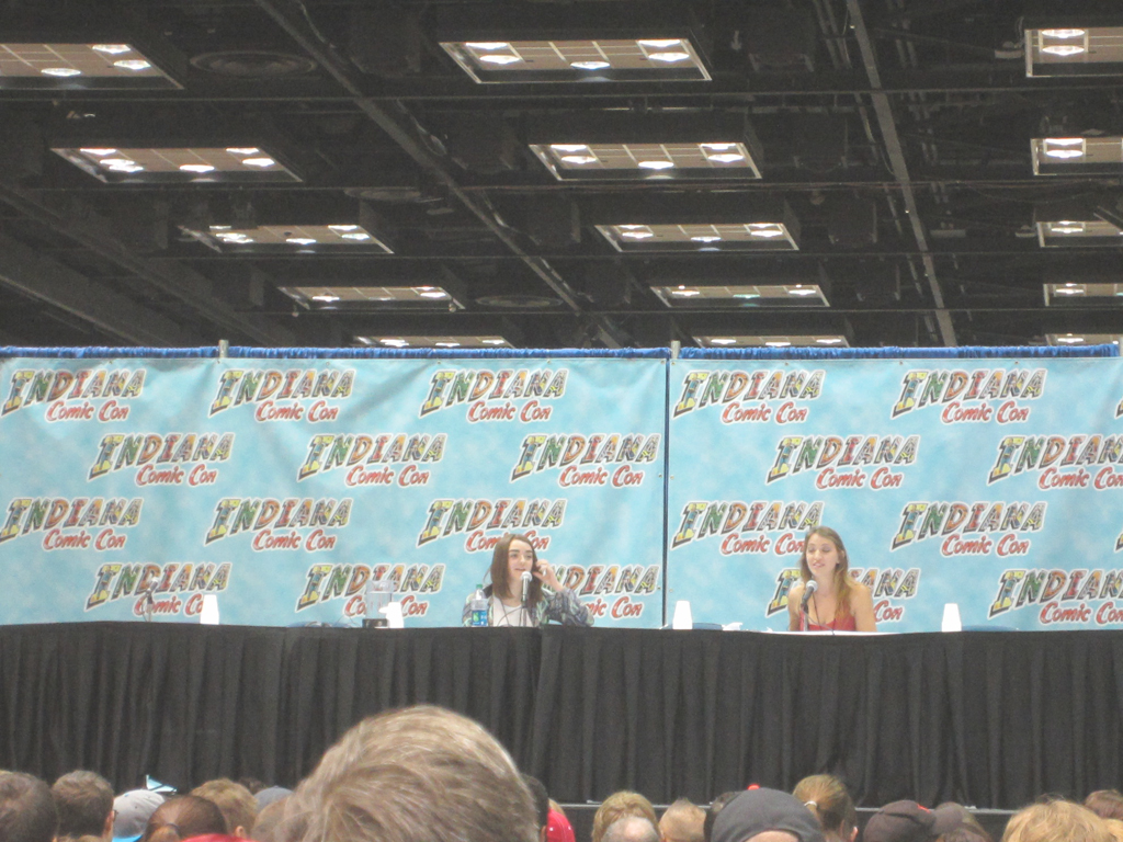 Indianapolis Comic-Con 2014 Celebrity Panel 2