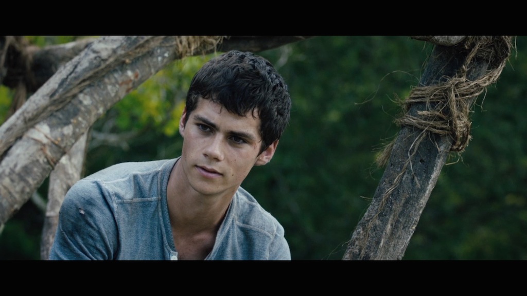 The Maze Runner Trailer Dylan O'Brien