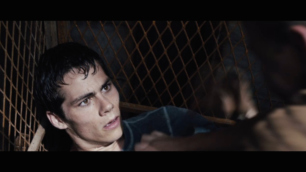 The Maze Runner Trailer Still Confused
