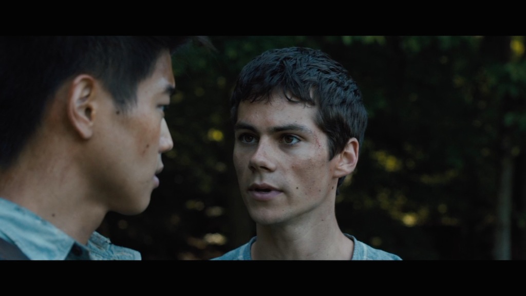 The Maze Runner Trailer Still Dylan