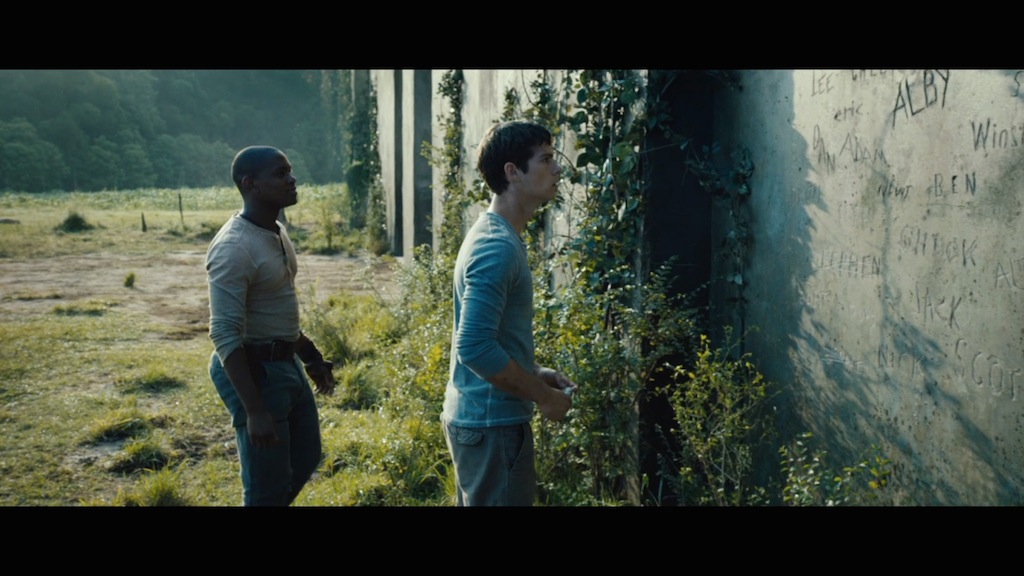 The Maze Runner Trailer Still Name Wall