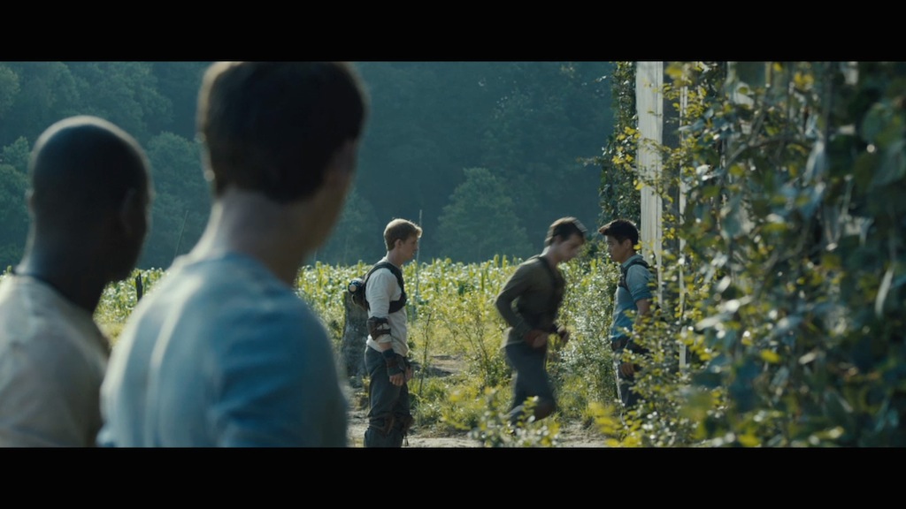 The Maze Runner Trailer Still Runners