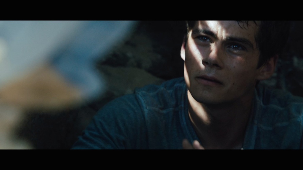 The Maze Runner Trailer Still Shadows