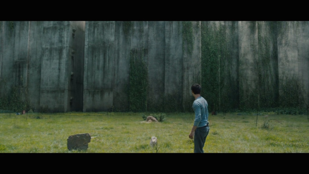 The Maze Runner Trailer Still Wall