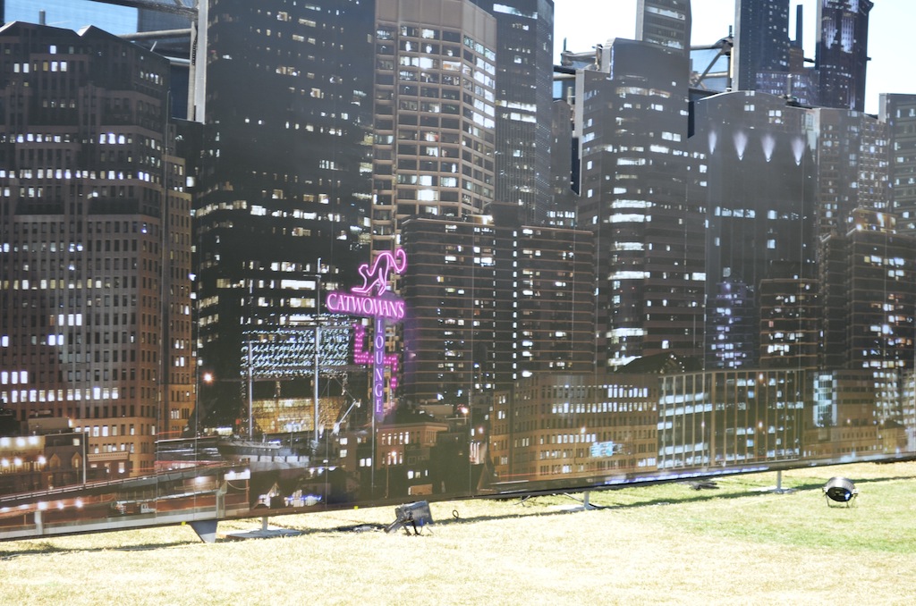 Comic-Con 2014 Gotham Catwoman