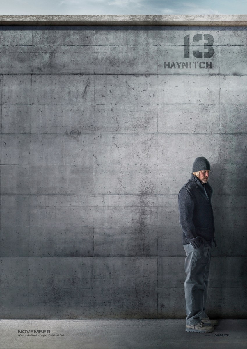 The Hunger Games Mockingjay Part 1 District 13 Poster Haymitch Abernathy