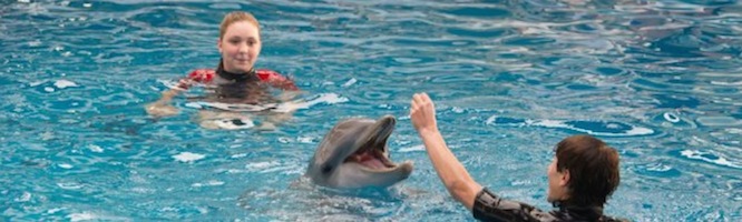 Dolphin Tale 2 2014 Movies