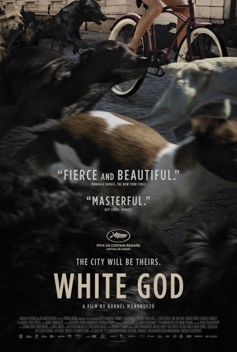 White God Blu-Ray Box Cover Art