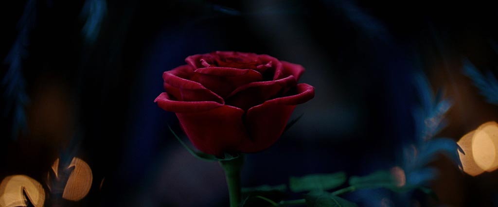 Live Action Beauty and the Beast Teaser Trailer Rose 2