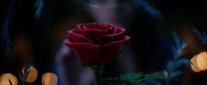 Live Action Beauty and the Beast Teaser Trailer Rose 3