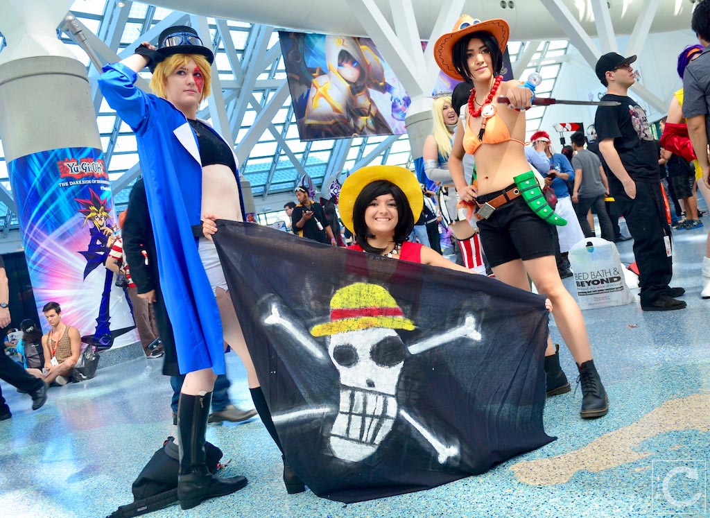 Anime Expo 2016 Cosplay 176 One Piece