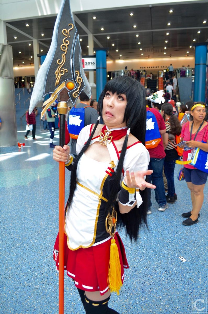 Anime Expo 2016 Cosplay Funny 10 Ara Elsword