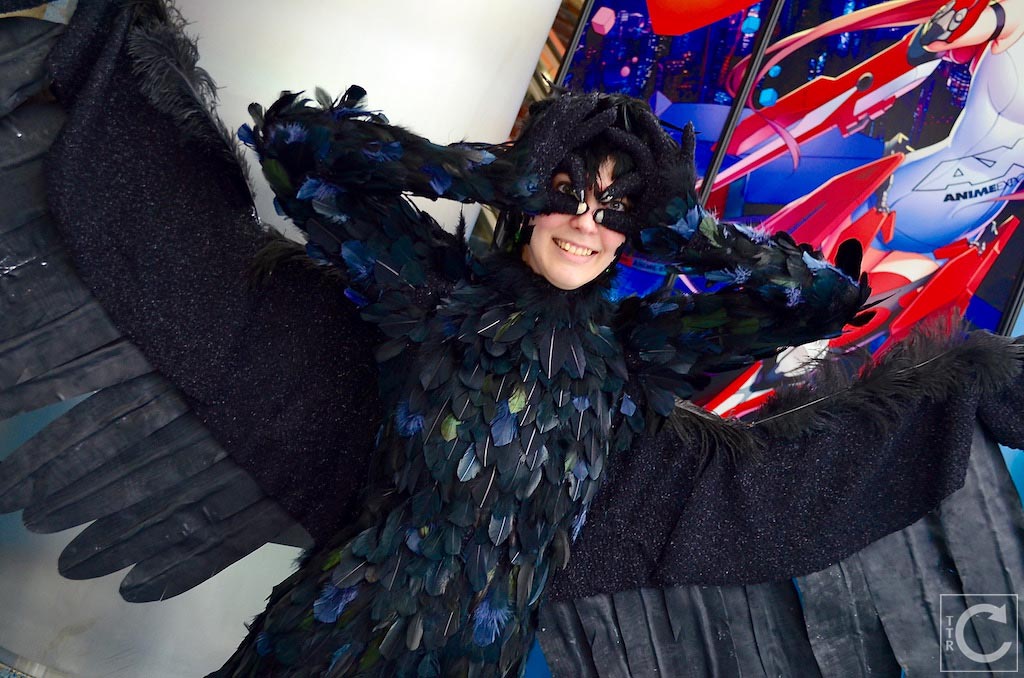 Anime Expo 2016 Cosplay Funny 48 Howl Bird Form Howl's Moving Castle