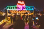 Pumpkin Nights 7